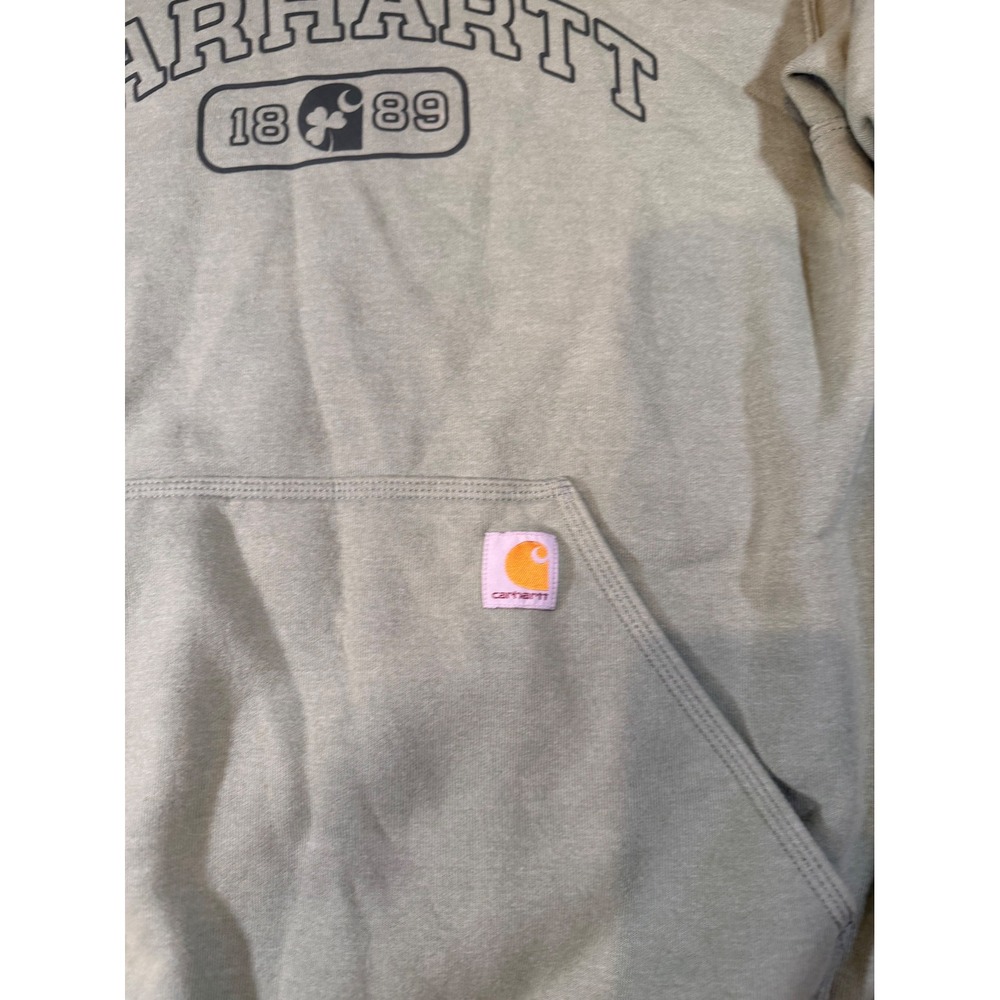 Carhartt Mens Loose Fit Graphic Hoodie Sage Green Spellout Logo Size Medium - Picture 4 of 7